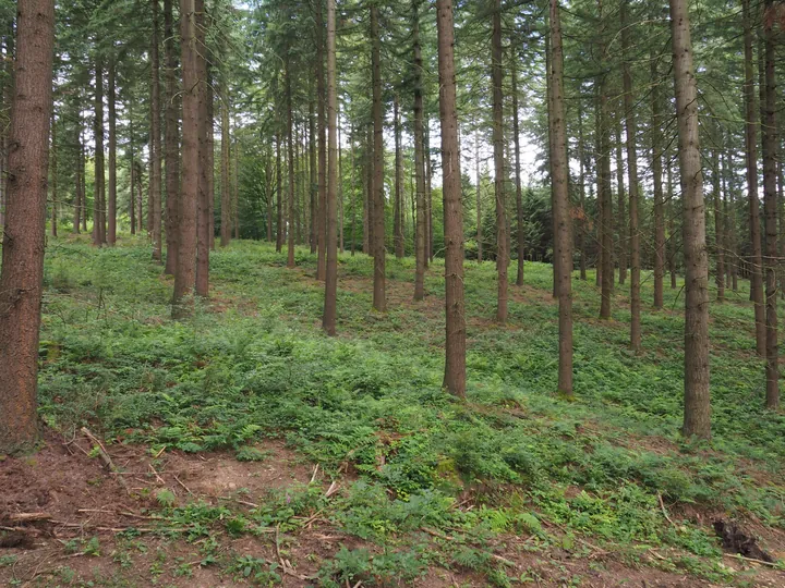 Parc Chlorophylle (Belgium)